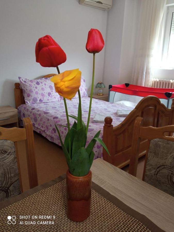 Apartman Andelina Врнячка-Баня Экстерьер фото