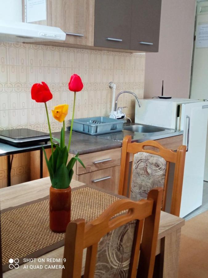 Apartman Andelina Врнячка-Баня Экстерьер фото